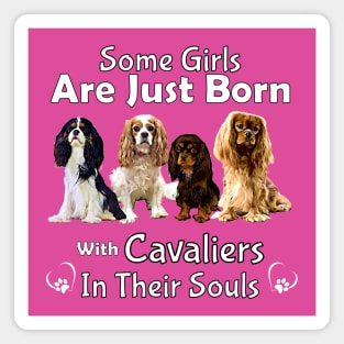 Some girls are just born with Cavaliers in their souls Magnet